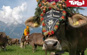 fête de la transhumance du Tyrol